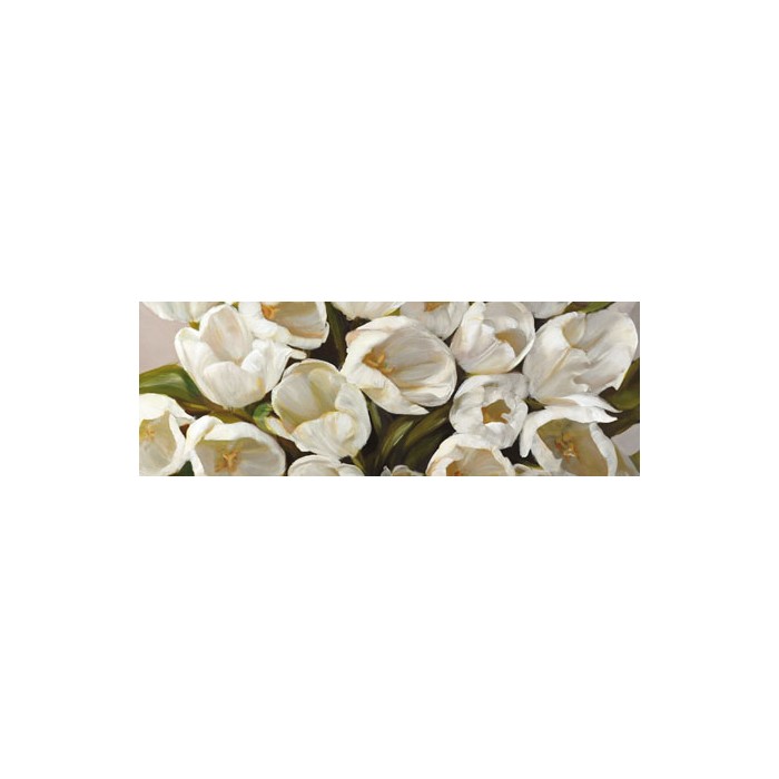 TULIPANI BIANCHI