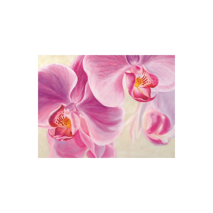 PURPLE ORCHIDS