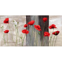 COUNTRY POPPIES