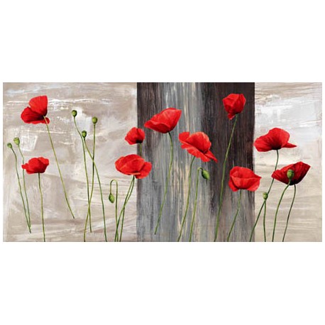 COUNTRY POPPIES