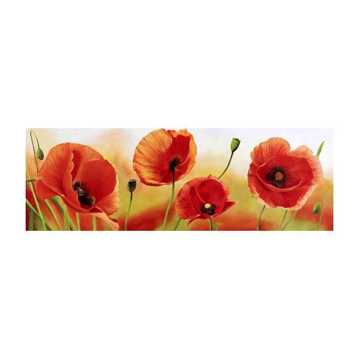 POPPIES IN THE WIND
