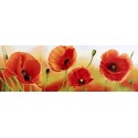 POPPIES IN THE WIND