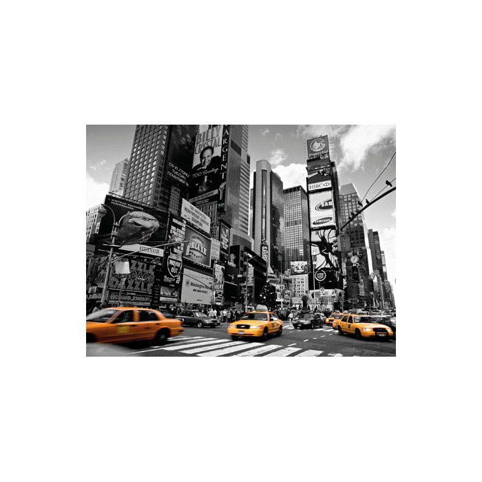 TIMES SQUARE, NEW YORK CITY, USA