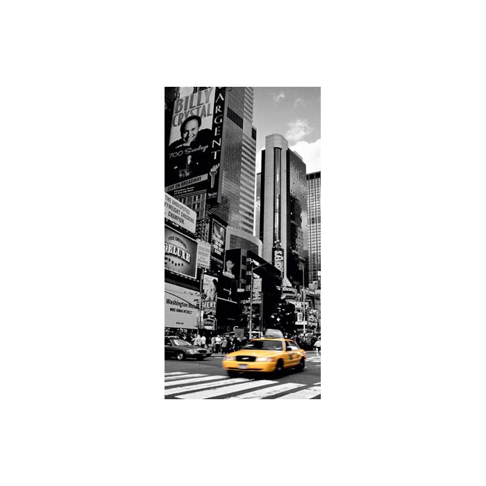 TIMES SQUARE, NEW YORK CITY, USA II