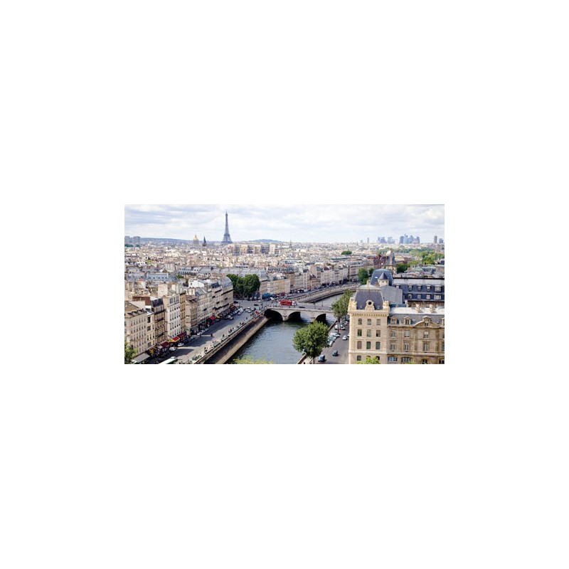 VIEW OF PARIS
