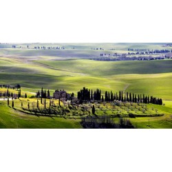 COUNTRY HOUSES IN TUSCANY