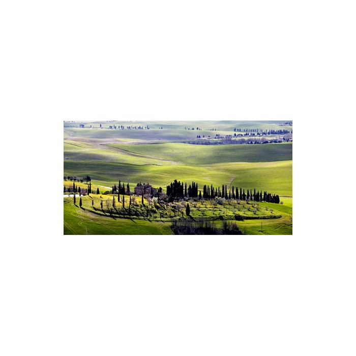 COUNTRY HOUSES IN TUSCANY