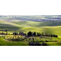COUNTRY HOUSES IN TUSCANY