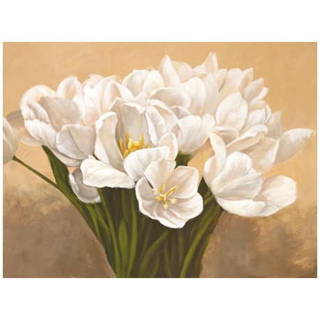 TULIPES BLANCHES