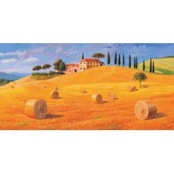 COLLINE IN TOSCANA