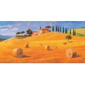 COLLINE IN TOSCANA