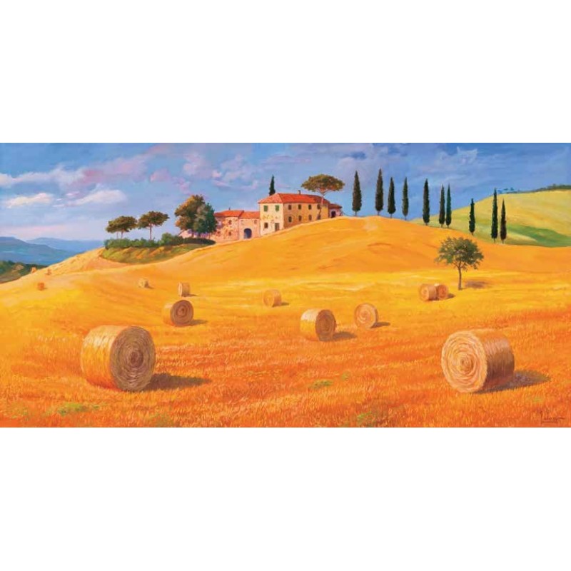 COLLINE IN TOSCANA