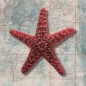 STARFISH