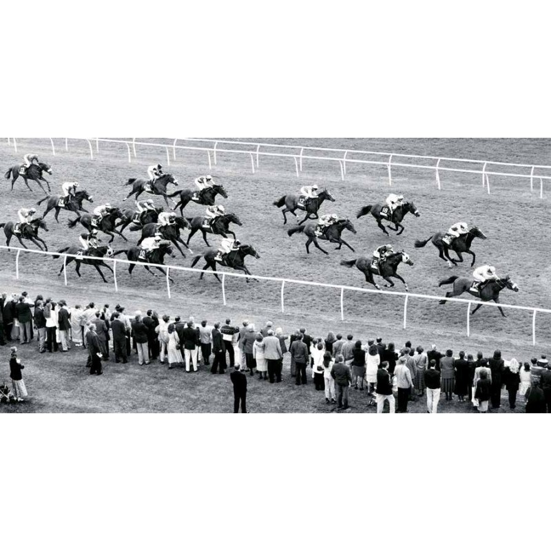 HORSE RACING, NEWBURY, BRITAIN