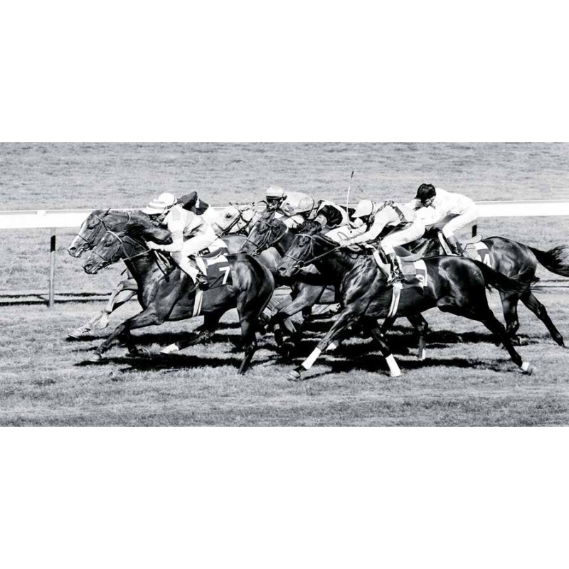 HORSE RACING, NEWBURY, BRITAIN