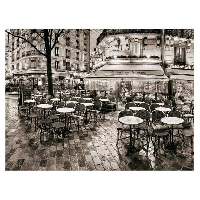 RAINY NIGHT AT PLACE EDGAR QUINET IN PARIS