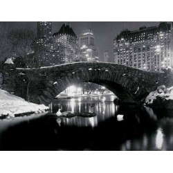 BRIDGE IN CENTRAL PARK, NYC, 1957