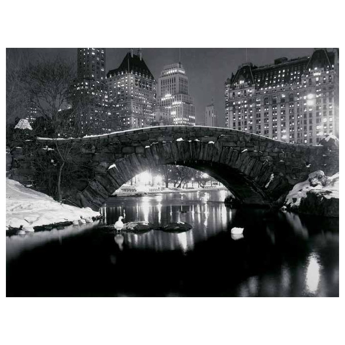 BRIDGE IN CENTRAL PARK, NYC, 1957