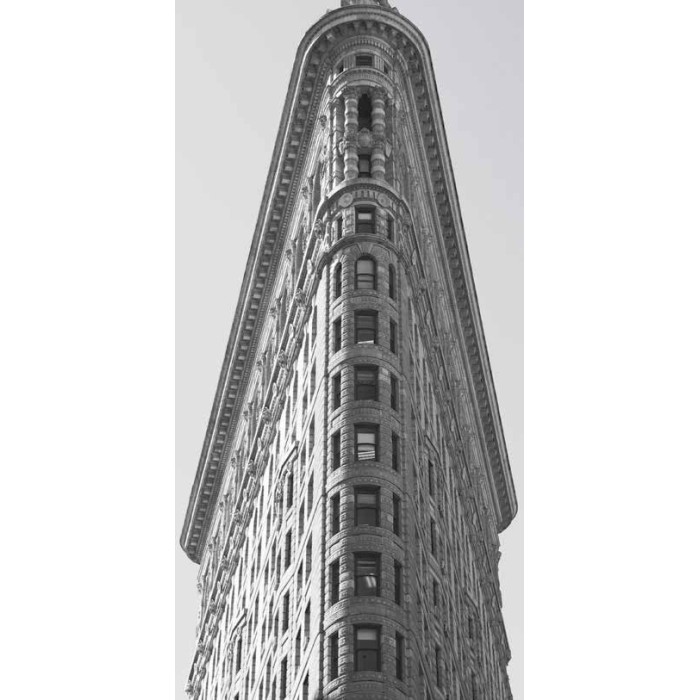 THE FLATIRON BUILDING