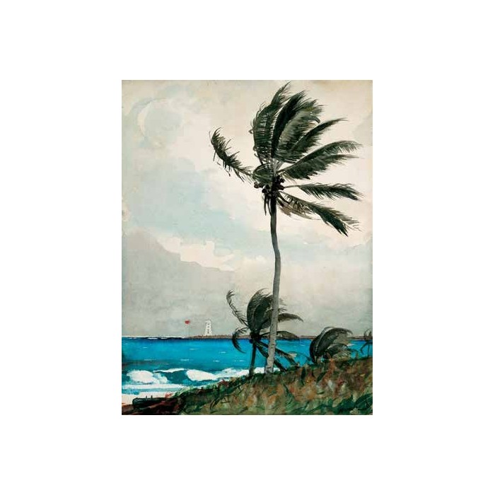 PALM TREE, NASSAU