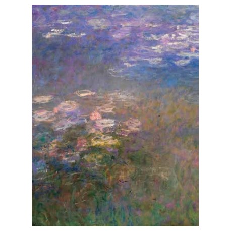 WATER LILIES I