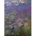 WATER LILIES III