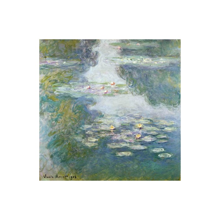 WATERLILIES