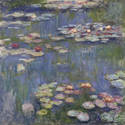 WATER LILIES 