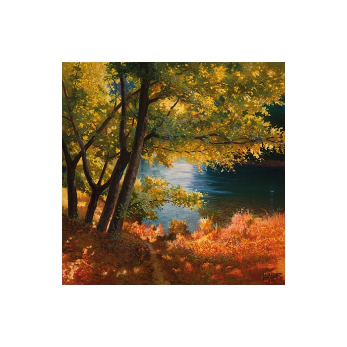 RADURA SUL FIUME