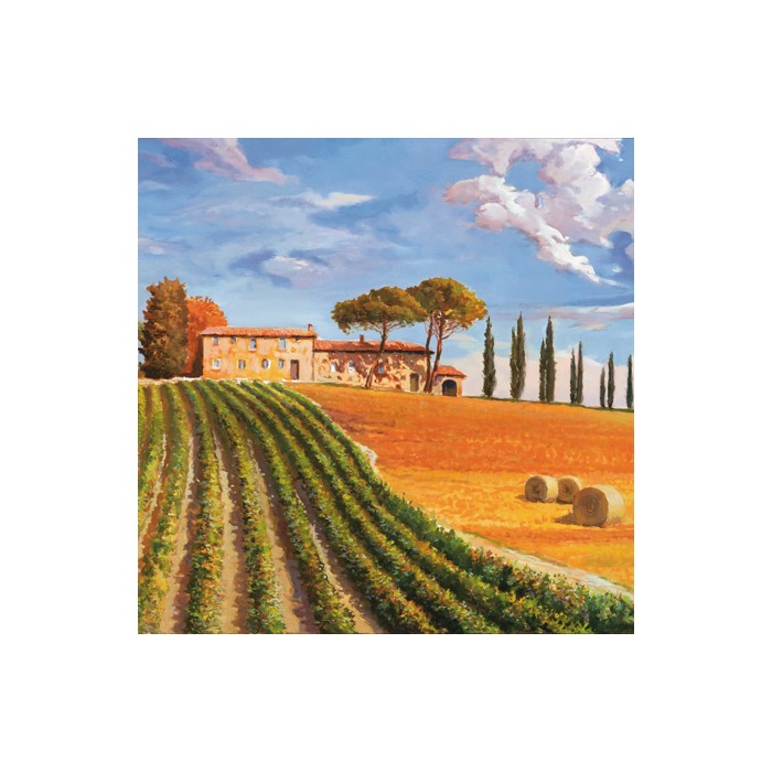 COLLINE TOSCANE (DETAIL)