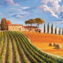COLLINE TOSCANE (DETAIL)