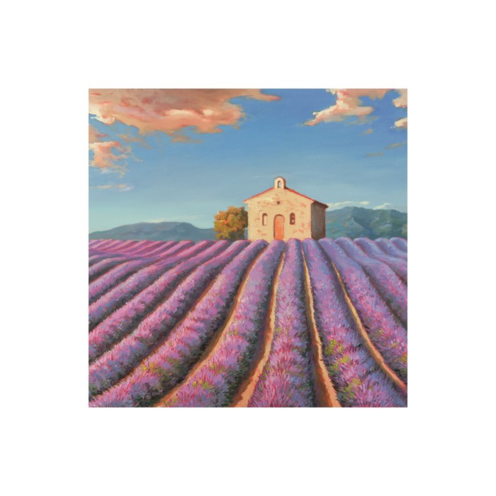 CAMPI DI LAVANDA (DETAIL)
