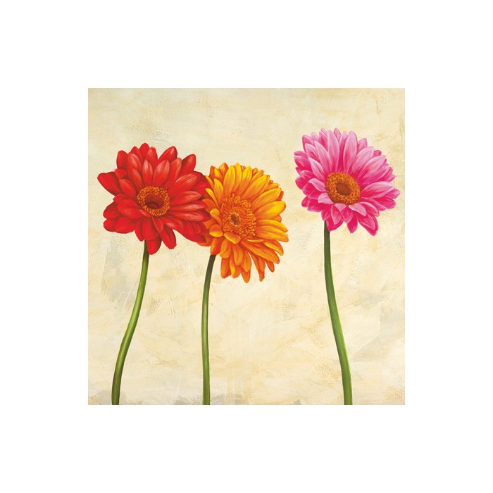 GERBERAS (DETAIL)