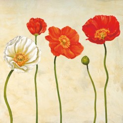 COQUELICOTS (DETAIL)