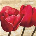 RED TULIPS (DETAIL)