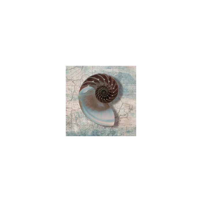 NAUTILUS