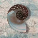 NAUTILUS