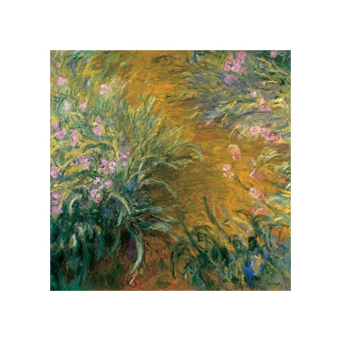 THE PATH THROUGH THE IRISES