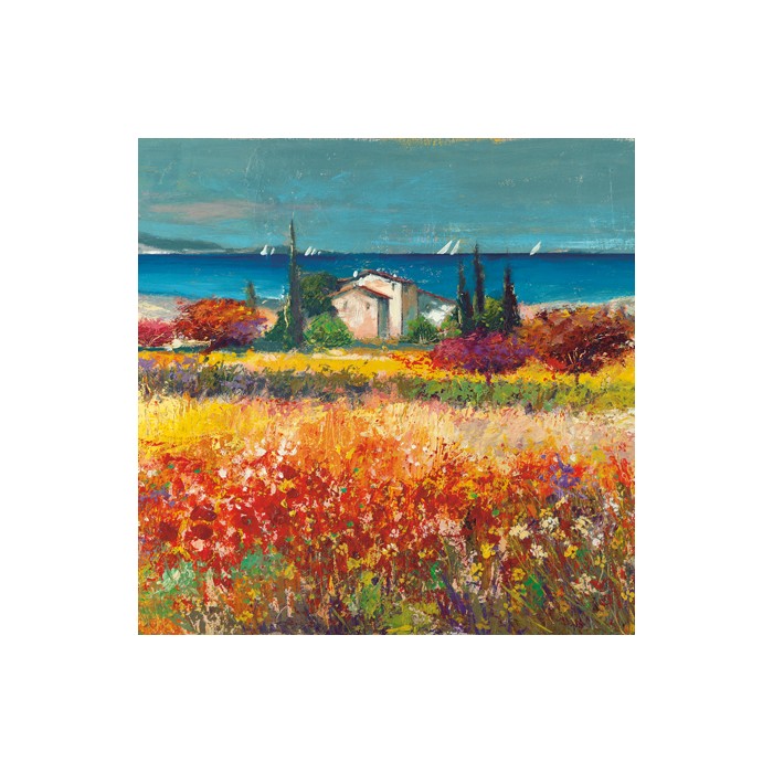 SOGNO MEDITERRANEO (DETAIL)