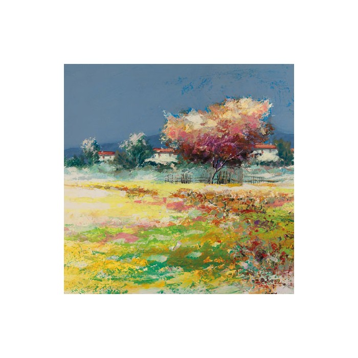 ALBERO NEL PRATO