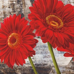 RED GERBERAS I