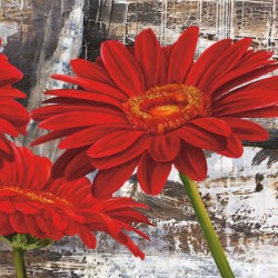 RED GERBERAS II