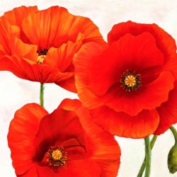 POPPIES I