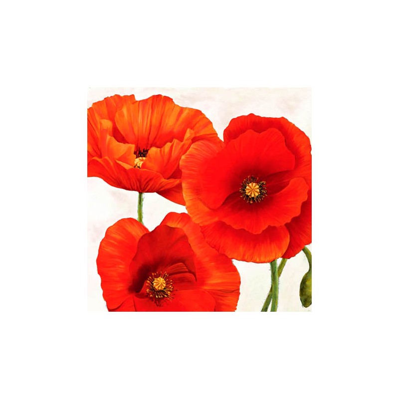 POPPIES I