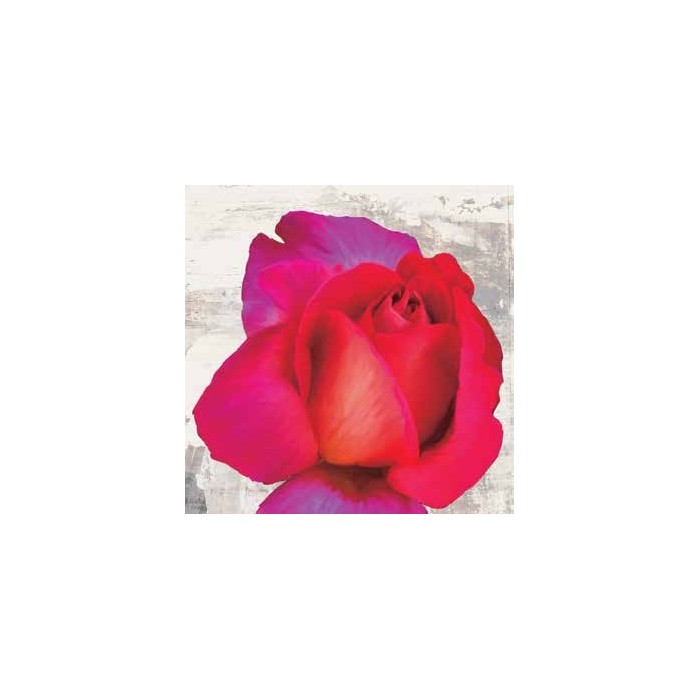 SPRING ROSES III
