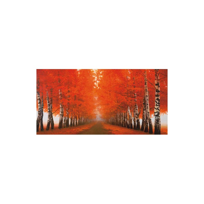 VIALE DI BETULLE