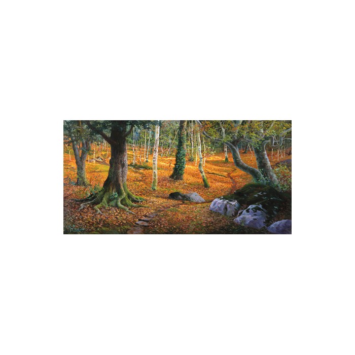 SOTTOBOSCO