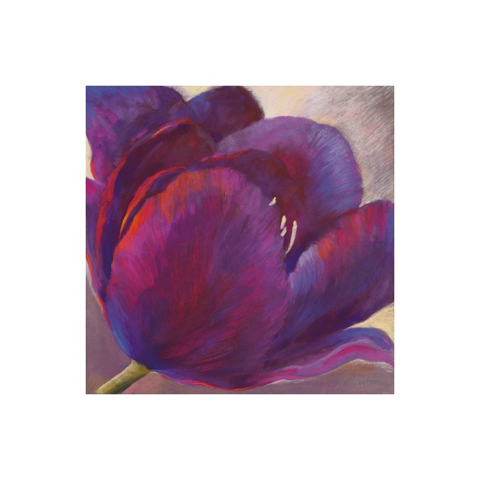 PURPLE QUEEN