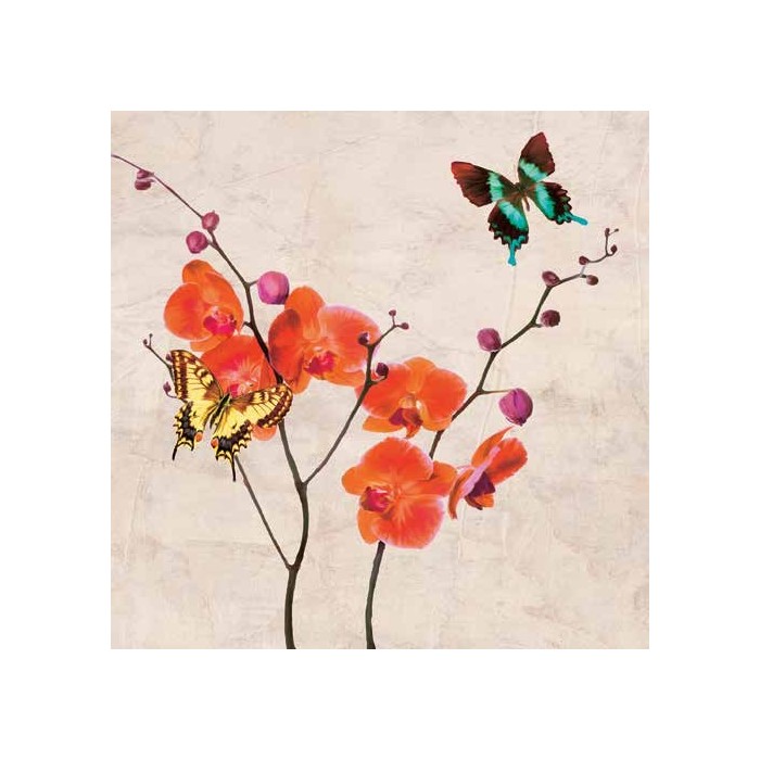ORCHIDS & BUTTERFLIES I