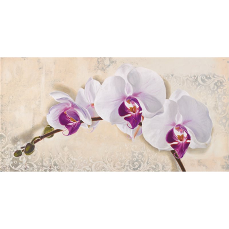 ROYAL ORCHID